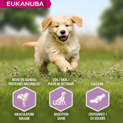 EUKANUBA -   CHIEN PUPPY JUNIOR AGNEAU LARGE - EUKANUBA