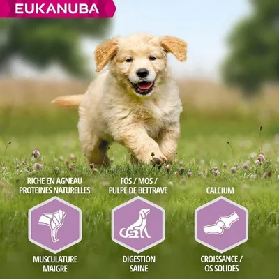 EUKANUBA -   CHIEN PUPPY JUNIOR AGNEAU LARGE - EUKANUBA