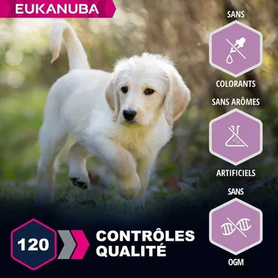 EUKANUBA -   CHIEN PUPPY JUNIOR AGNEAU LARGE - EUKANUBA