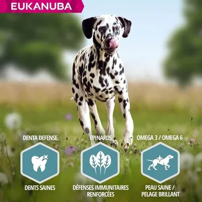 EUKANUBA -   CHIEN ADULT SAUMON LARGE - EUKANUBA