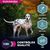 EUKANUBA -   CHIEN ADULT SAUMON LARGE - EUKANUBA