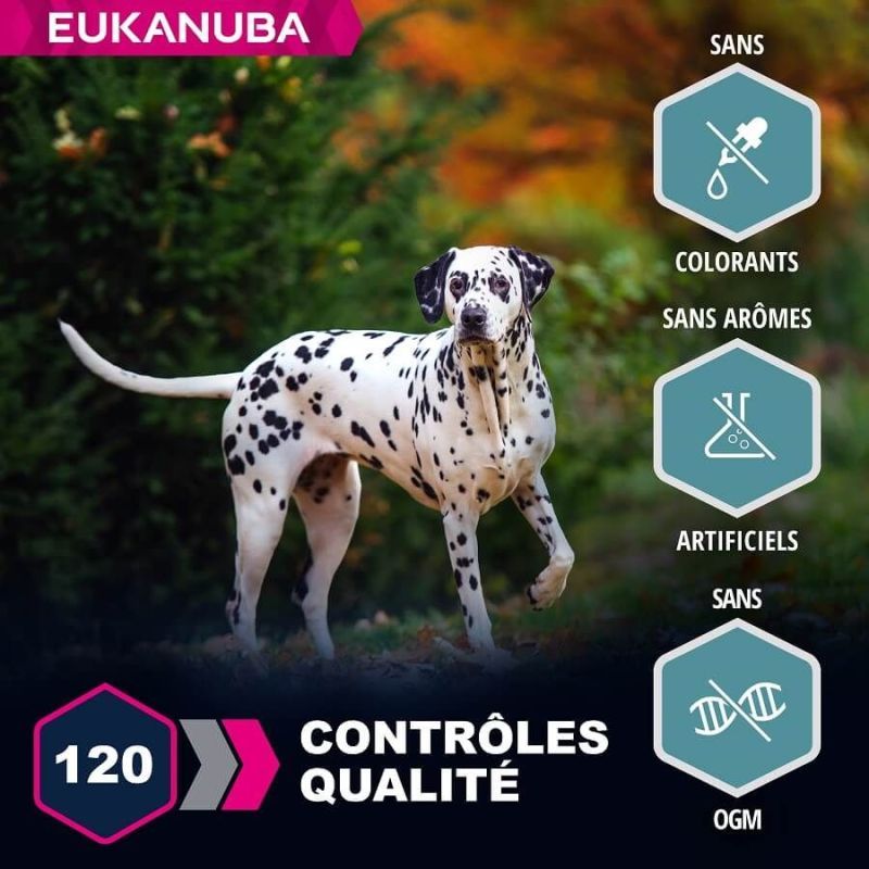 EUKANUBA -   CHIEN ADULT SAUMON LARGE - EUKANUBA