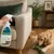 LABORATOIRE AGECOM - Hundeabwehrspray für den Innenbereich - Stop Repellen LABORATOIRE AGECOM - Hundeabwehrspray für den Innenbereich - Stop Repellen
