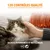 IAMS -   chat stérilisé - IAMS for Vitality