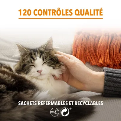 IAMS -   chat stérilisé - IAMS for Vitality