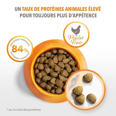 IAMS -   chat stérilisé - IAMS for Vitality