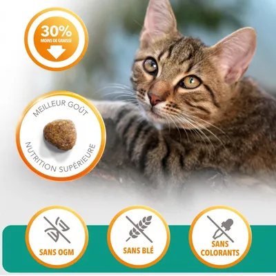 IAMS -   chat stérilisé - IAMS for Vitality