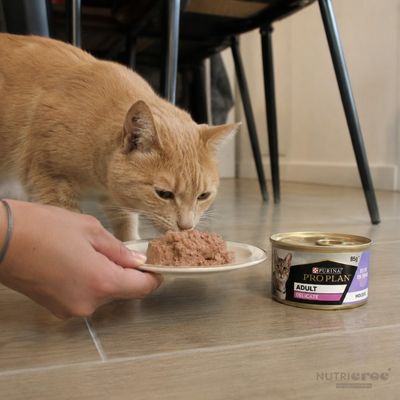 PROPLAN - Delicate Mousse Dinde Chat 85g