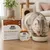 SPECIFIC - FDW Futtermittelallergie-Management Katzenterrine (Box 7x100g)