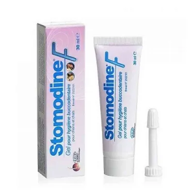 LDCA - STOMODINE - LDCA