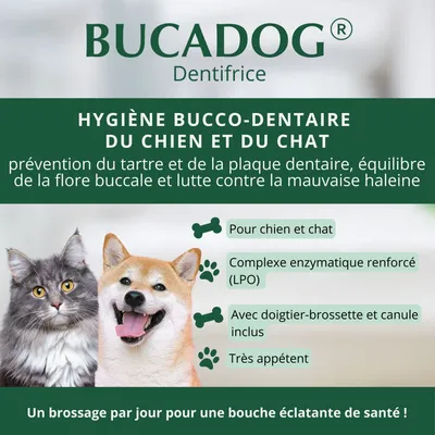OSALIA - BUCADOG DENTIFRICE - OSALIA