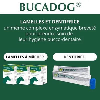 OSALIA - BUCADOG DENTIFRICE - OSALIA
