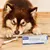 VIRBAC - DENTIFRICE enzymatique CHIEN CHAT VIRBAC - DENTIFRICE enzymatique CHIEN CHAT