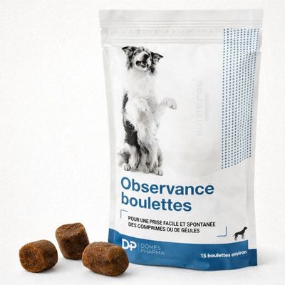 TVM - Observence Boulettes – Friandises Donner un Comprimé Chien 15 boulettes