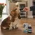 TVM - Sitalan SE Suspension Orale Chien et Chat Senior 90 ml TVM - Sitalan SE Suspension Orale Chien et Chat Senior 90 ml