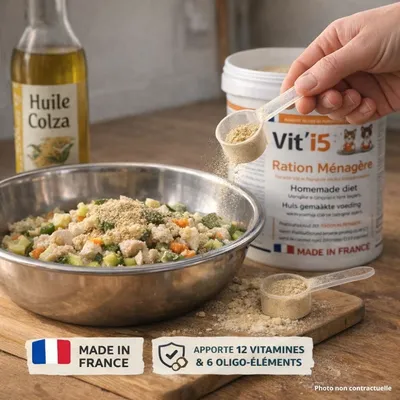 Vit'i5 Orange – Complément Ration Ménagère Chien Chat Vit'i5 Orange – Complément Ration Ménagère Chien Chat