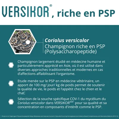 OSALIA - VERSIKOR - OSALIA