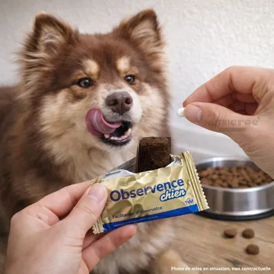 TVM - Observence Chien – Friandise   Donner un Comprimé (6 x 25 g)