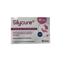 ANIDEV - SYLICURE 40 mg - ANIDEV