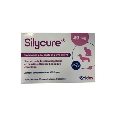 ANIDEV - SYLICURE 40 mg - ANIDEV ANIDEV - SYLICURE 40 mg - ANIDEV