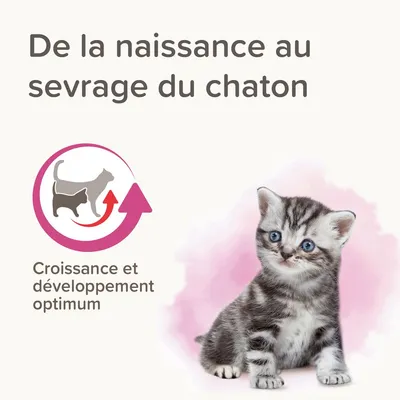 BEAPHAR - Lait maternisé chaton