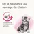 BEAPHAR - Lait maternisé chaton