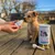 TVM - Lait Maternisé Optima TVM Chaton et Chiot - 1 kg TVM - Lait Maternisé Optima TVM Chaton et Chiot - 1 kg