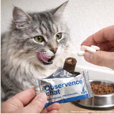 TVM - Katzenbeobachtung - Leckerli für die Gabe einer Tablette (6 x 10 g)