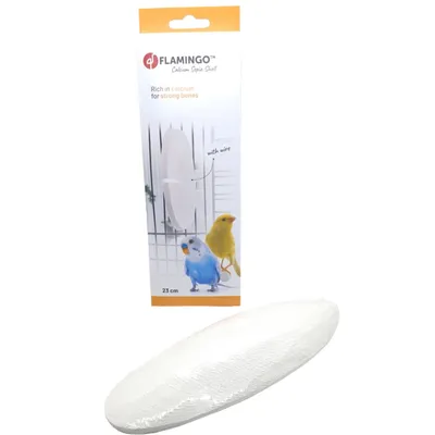 Un Os de seiche blanc 23 cm avec attache pour oiseaux