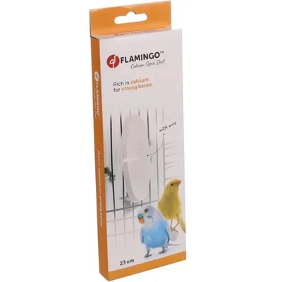 Flamingo - Un Os de seiche blanc 23 cm avec support pour oiseaux