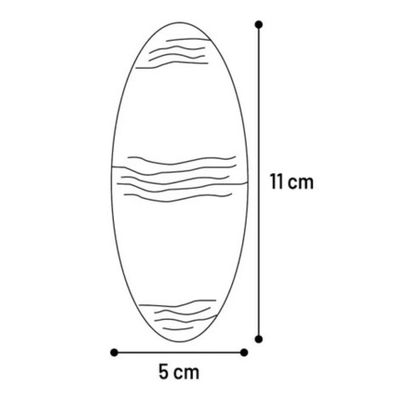 2 Os de seiche blanc 11 cm avec support  pour oiseaux
