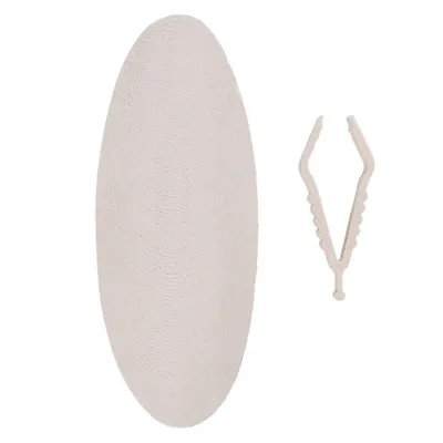 Un Os de seiche blanc 15 cm avec support pour oiseaux