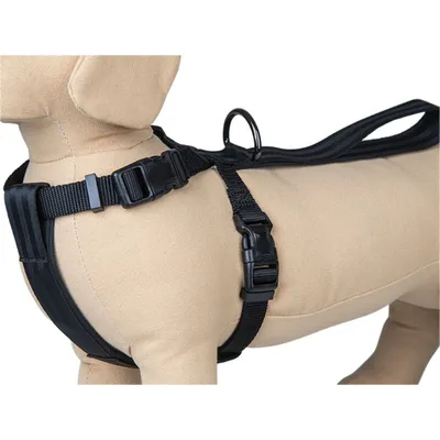 Harnais de sécurité voiture, Taille XL, pour chien.