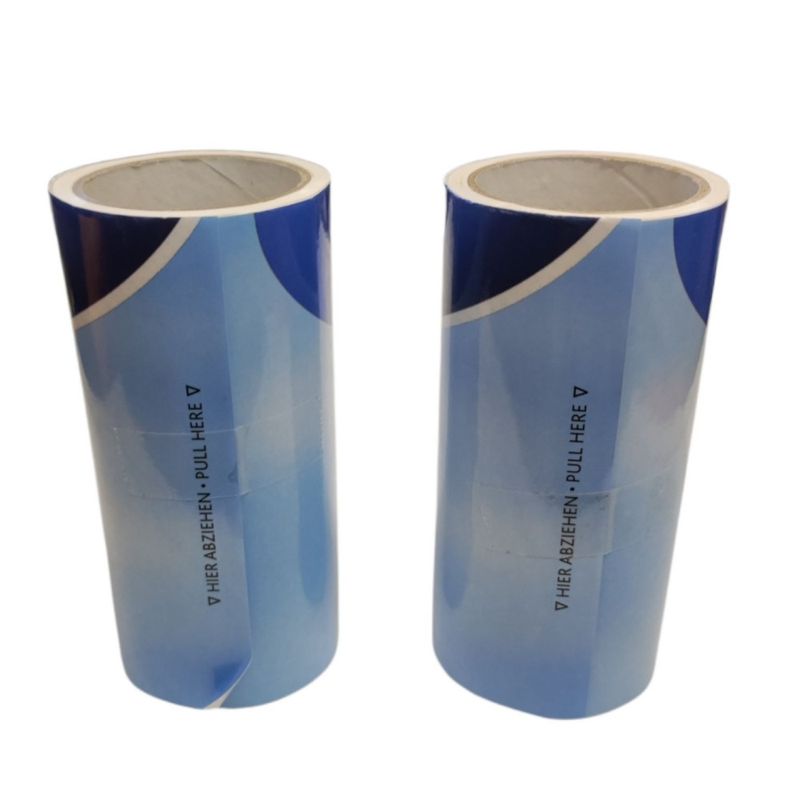 animallparadise - Recharge pour brosse roller 2 rouleaux 60 feuilles