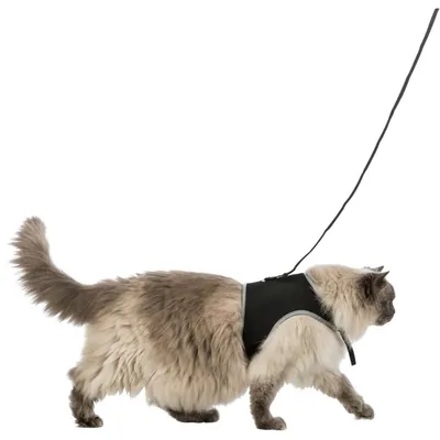 Harnais soft XXL avec laisse pour grand chat