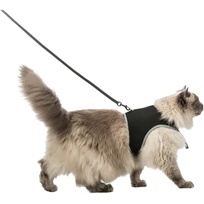 animallparadise - Harnais soft XXL avec laisse pour grand chat