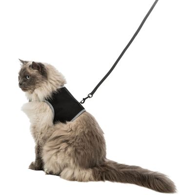 Harnais soft XXL avec laisse pour grand chat