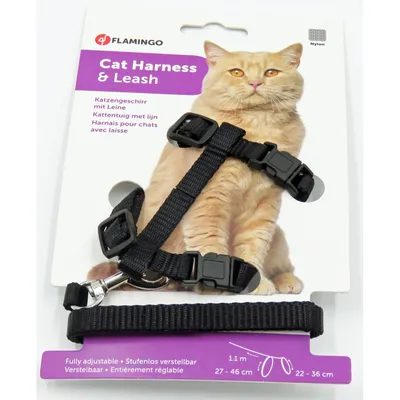 Harnais et laisse de 1.10 mètre couleur  pour chat,