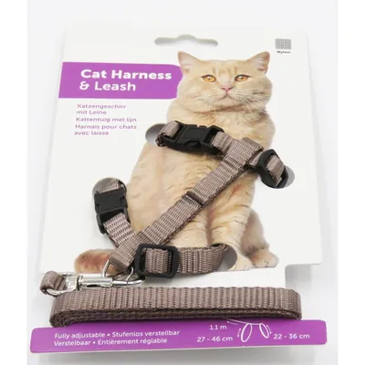 Harnais et laisse de 1,10 mètre taupe pour chat