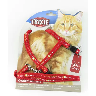 Harnais XXL avec laisse pour grand chat 34-57 cm/13 mm couleur aléatoire