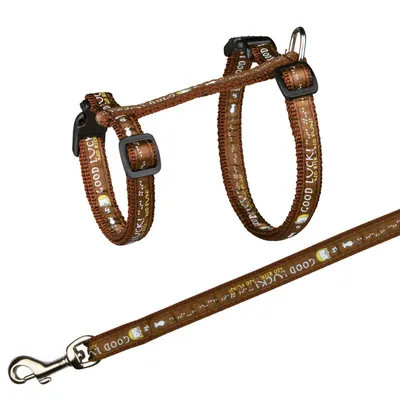 Harnais XXL avec laisse pour grand chat 34-57 cm/13 mm couleur aléatoire