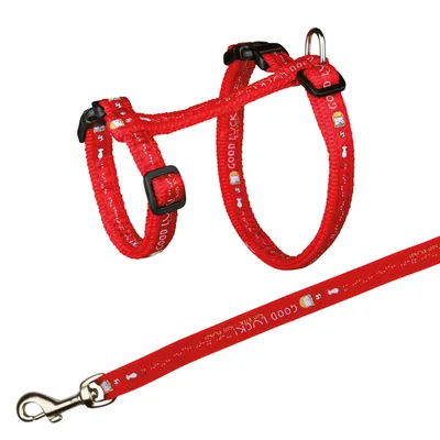 Harnais XXL avec laisse pour grand chat 34-57 cm/13 mm couleur aléatoire