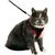 animallparadise - Harnais pour grand chat, couleur  et , taille L, animallparadise - Harnais pour grand chat, couleur  et , taille L,