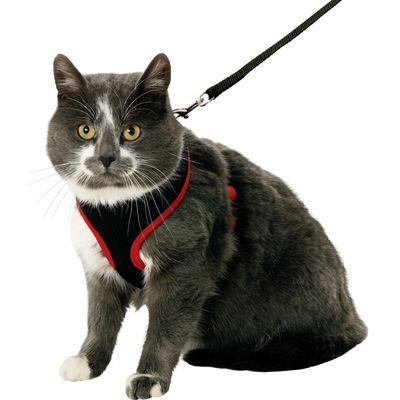 Harnais pour chatons, couleur  et , taille S, réglable