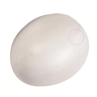 Un faux œuf de poule en plastique pour volaille