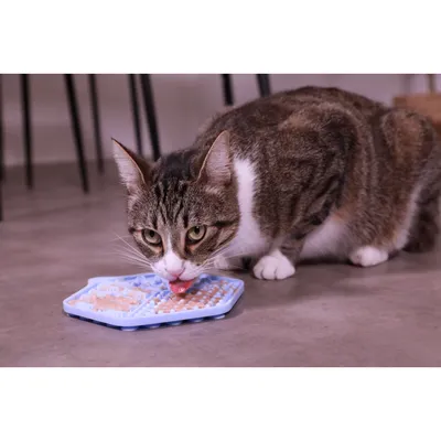 Tapis à lécher silicone ventouses 18.5 x 15.5 cm  pour chat