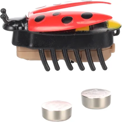 Coccinelle Rouge Spredda Jouet chat