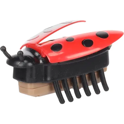 Flamingo - Coccinelle Rouge Spredda Jouet chat