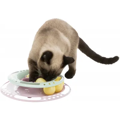 Trixie - Jeux pour chat Junior Kitten Circle, taille ø 24 cm