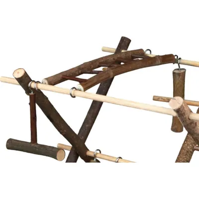 Plateau de jeux en bois, pour canaris et perruches.